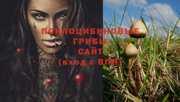 марки lsd Абаза