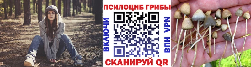 Галлюциногенные грибы Cubensis где купить наркотик Кизляр