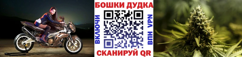 Бошки марихуана сатива  ссылка на мегу зеркало  Кизляр  купить закладку 